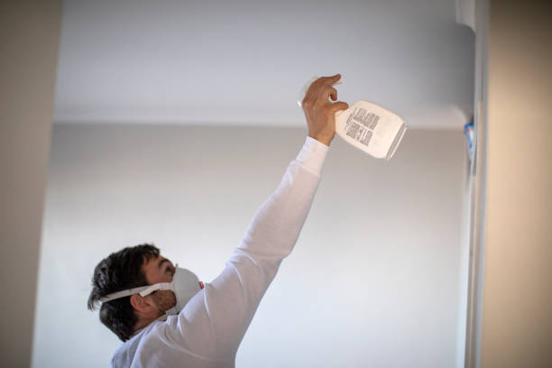 Best Mold Remediation Services  in Northeast Ithaca, NY